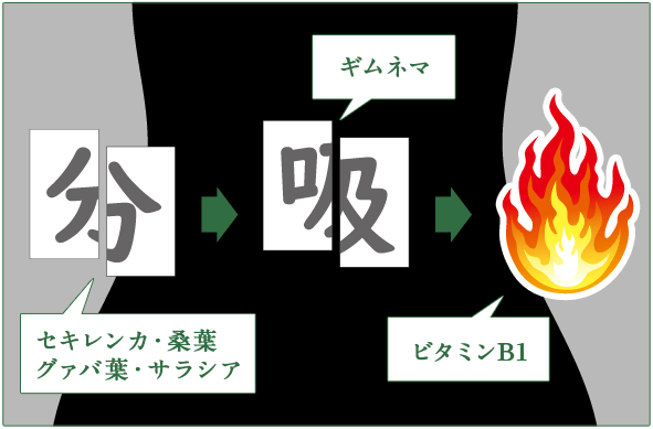 三段階のメカニズム