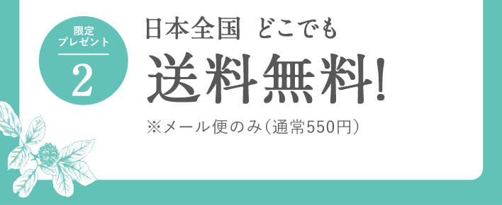限定プレゼント2:日本全国 いつでも送料無料!※メール便のみ(通常540円)