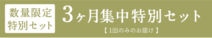数量限定特別セット 3か月集中特別セット