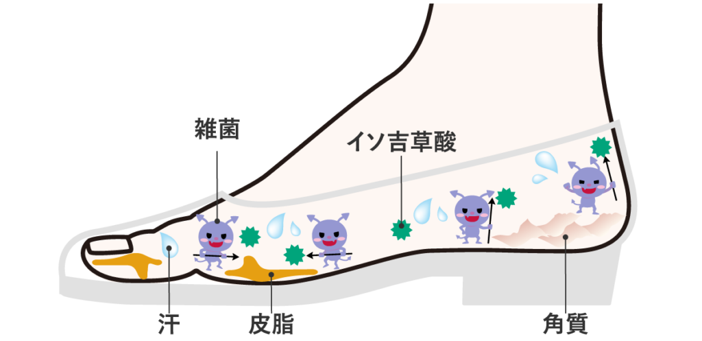 足 が 臭い 女 特徴