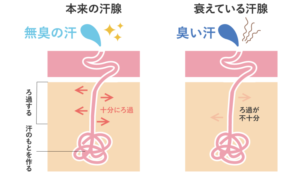 汗 が ポップコーン の 匂い