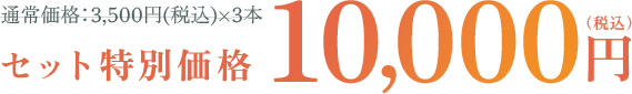 セット特別価格10,000円（税込）