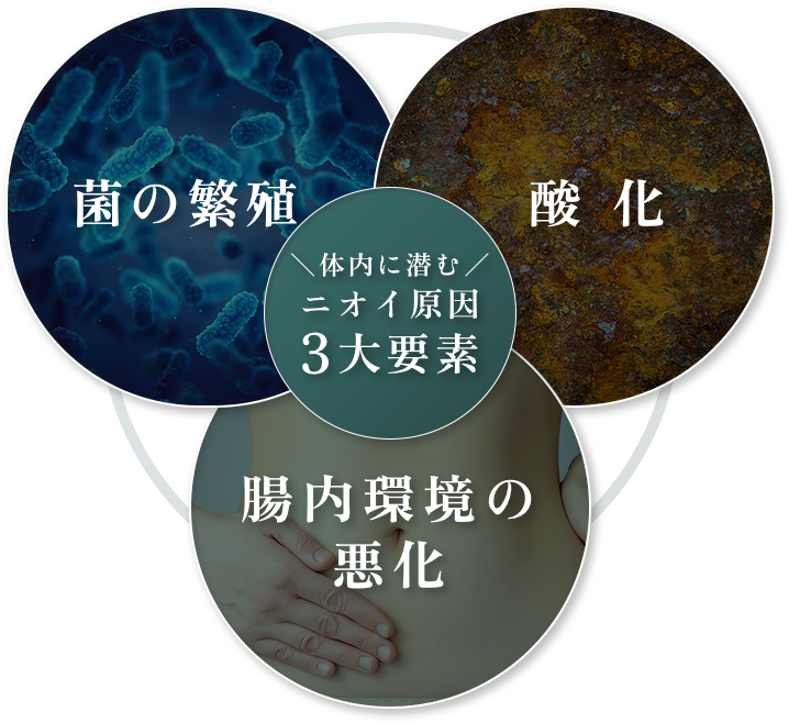 体内に潜む、ニオイ原因3大要素