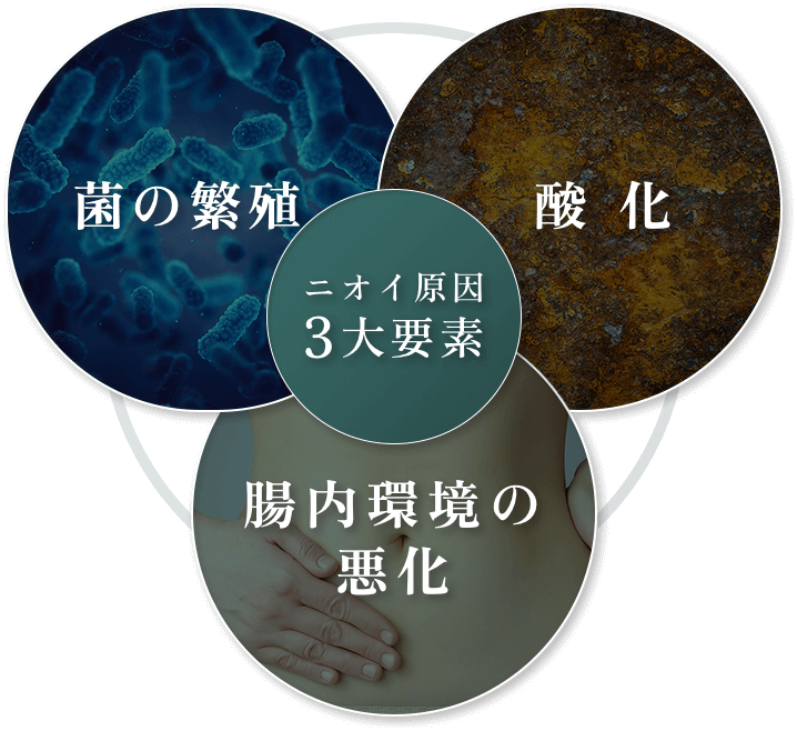 ニオイ原因3大要素