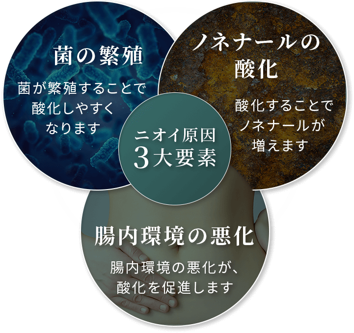 ニオイの原因3大要素