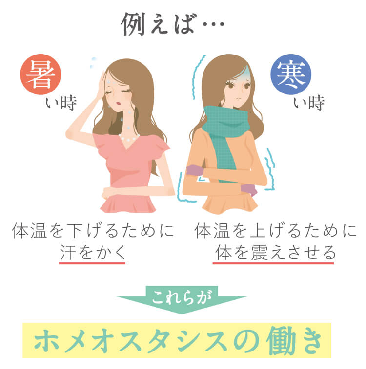 今知っておきたい！ホメオスタシスとは何？ | シックスセンスタイムズ