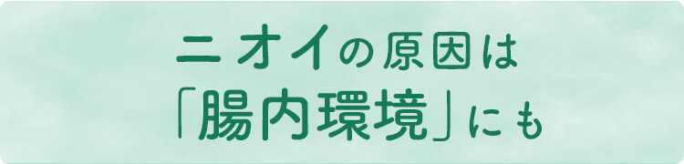 ニオイの原因は「腸内環境」にも