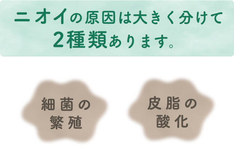 ニオイの原因は大きく分けて2種類あります。細菌の増力と皮脂の酸化です