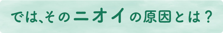 では、そのニオイの原因とは？