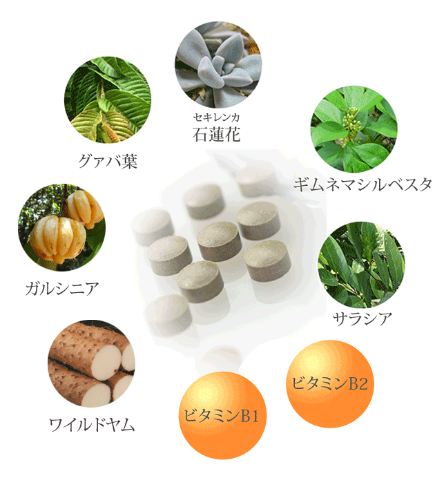 石蓮花（セキレンカ）、ギムネマシルベスタ、ビタミンB2 、サラシア、ビタミンB1 、グァバ葉、ガルシニア