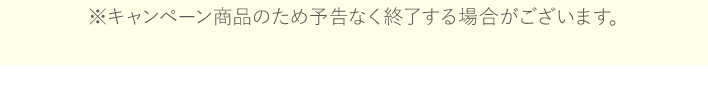 ※キャンペーン商品のため予告なく終了する場合がございます。