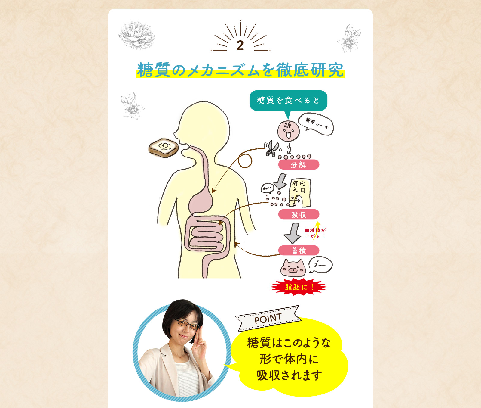 糖質のメカニズムを徹底研究