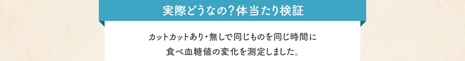 実際どうなの？体当たり検証