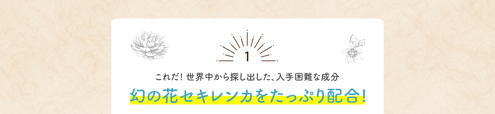 これだ！世界中から探し出した、入手困難な成分幻の花 セキレンカをたっぷり配合