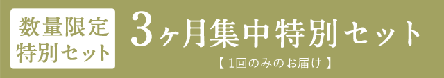 数量限定特別セット 3か月集中特別セット