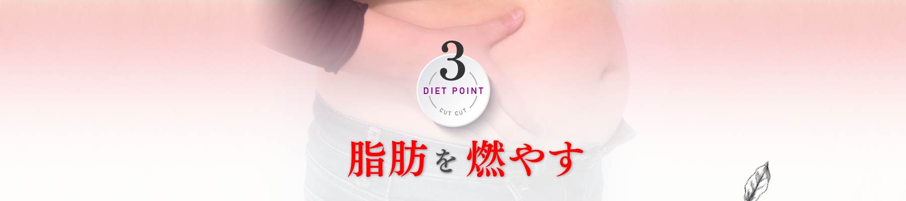 ポイント3 脂肪を燃やす