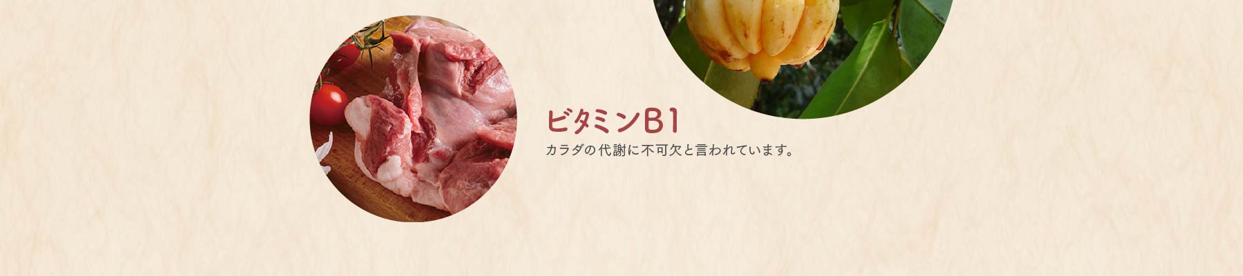 ビタミンB1