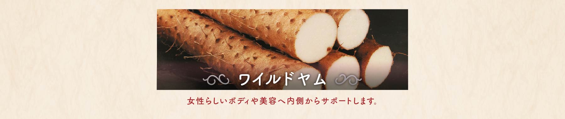 ワイルドヤム 女性らしいボディや美容へ内側からサポートします。