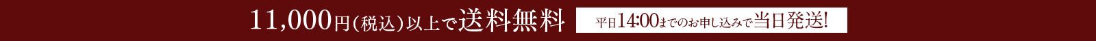 11,000円（税込）以上で送料無料