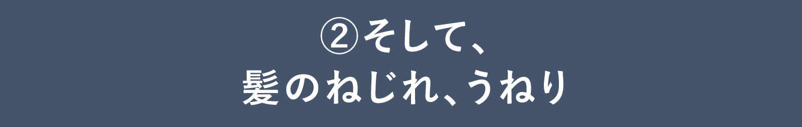 ②そして、髪のねじれ、うねり