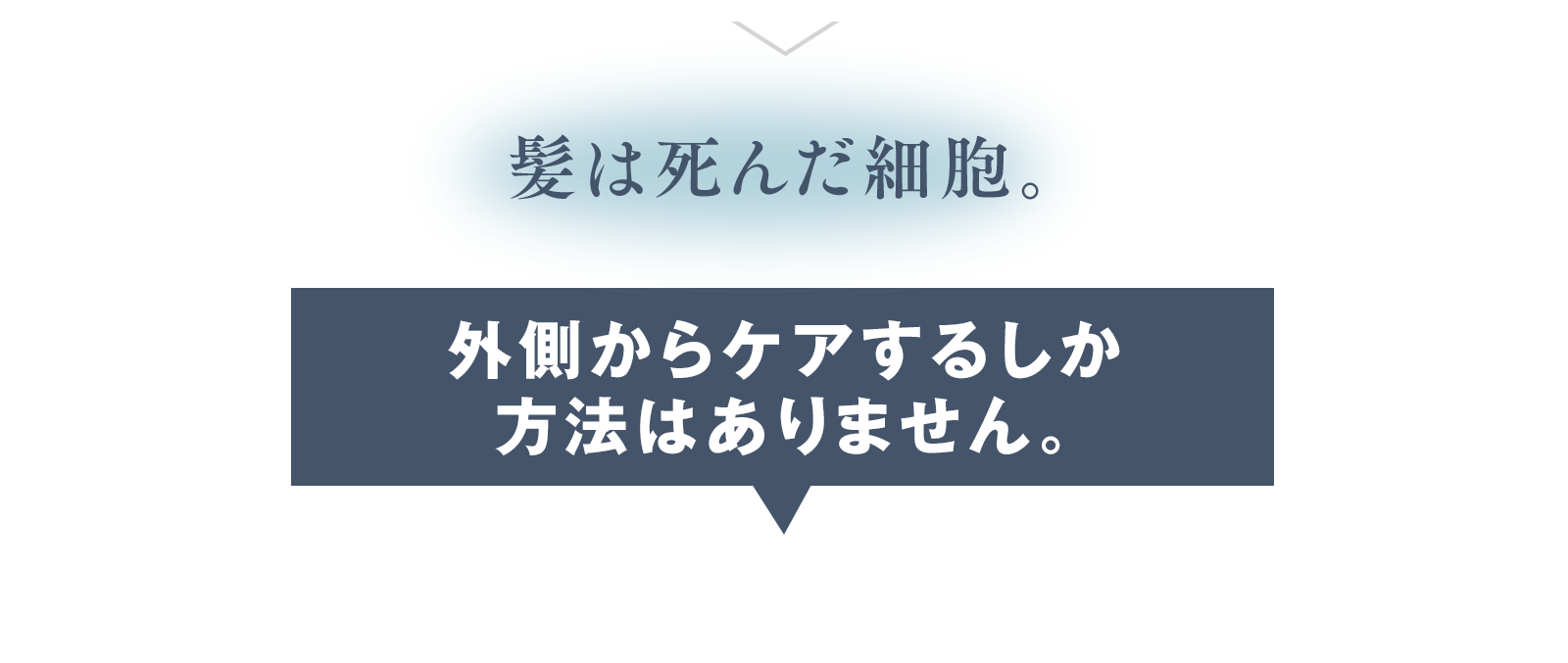 髪は死んだ細胞。外側からケアするしか方法はありません。