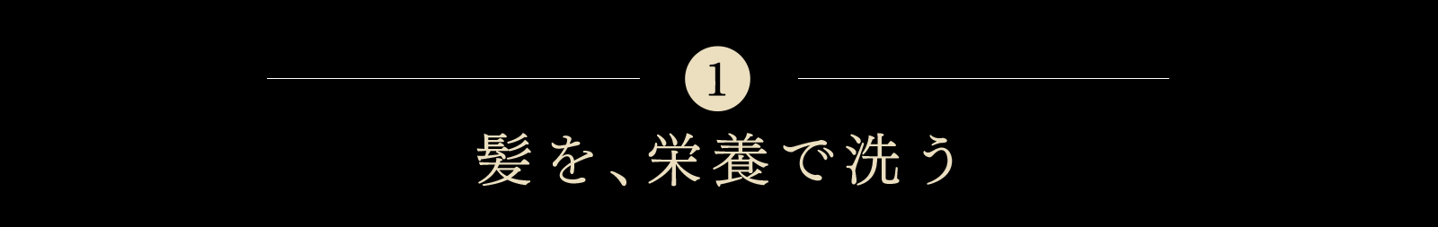 髪を、栄養で洗う