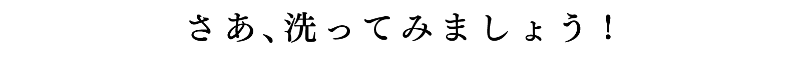 さあ、洗ってみましょう!