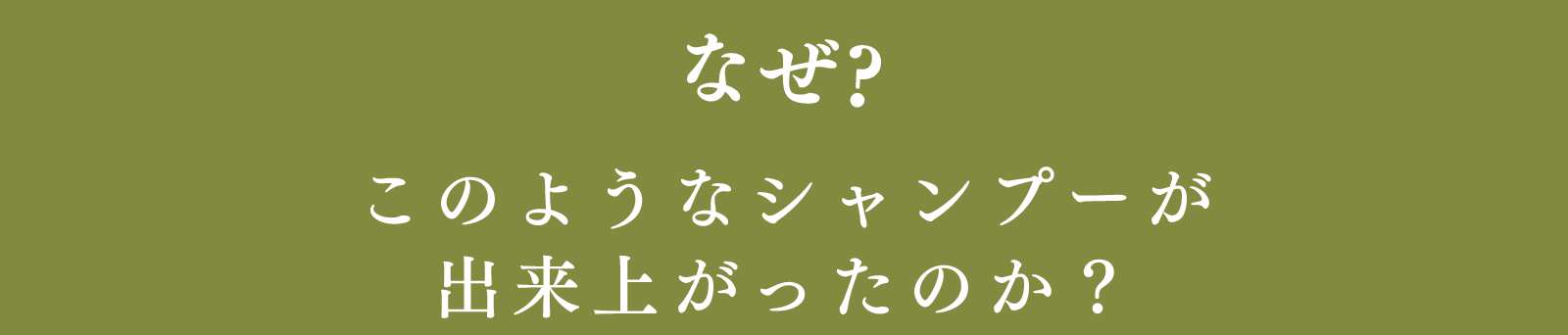 なぜ?このようなシャンプーが出来上がったのか？