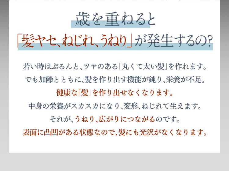 華髪 ハナカミ シャンプー トリートメント シックスセンスラボ株式会社 公式 華髪 ハナカミ シャンプー トリートメント シックスセンスラボ株式会社 公式