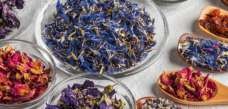 女プリメントとは シックスセンスラボ株式会社 公式