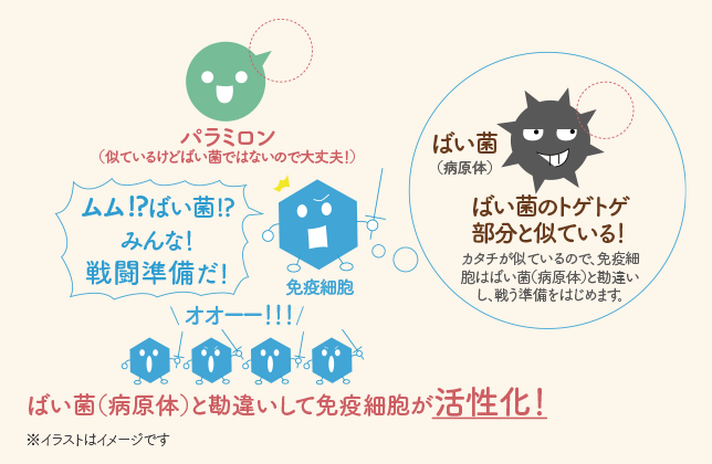 ばい菌（病原体）と勘違いして免疫細胞が活性化！