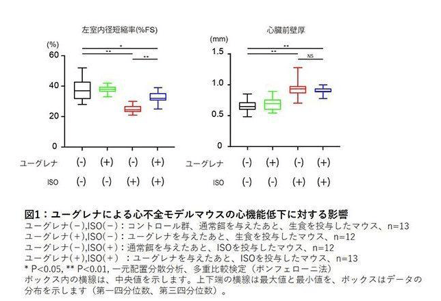 ユーグレナによる心不全モデルマウスの心機能低下に対する影響