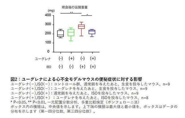 ユーグレナによる心不全モデルマウスの便秘症状に対する影響