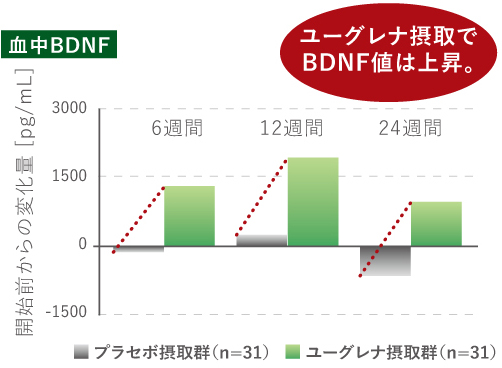 ユーグレナと心の健康 専門家が解説 ユーグレナミドリムシshop公式