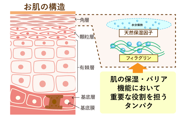 ミドリムシ 副作用