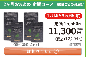 男性向けミドリムシ　パワーユーグレナ 1日4粒 2ヶ月おまとめ 定期コース