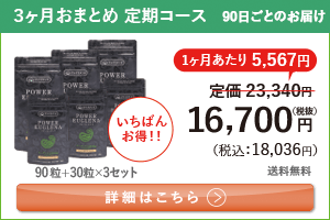 男性向けミドリムシ　パワーユーグレナ 1日4粒 3ヶ月おまとめ 定期コース