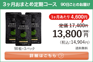男性向けミドリムシ　パワーユーグレナ 1日3粒 3ヶ月おまとめ 定期コース