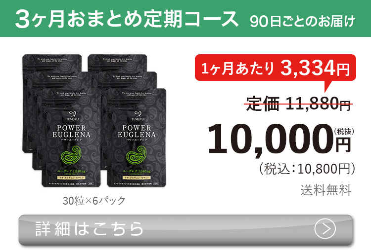 男性向けミドリムシ　パワーユーグレナ 60粒 3ヶ月おまとめ 定期コース