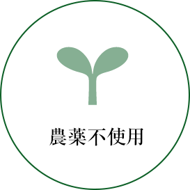 農薬不使用