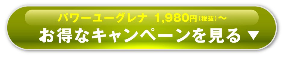 パワーユーグレナ 1,980円（税抜）〜 くわしくはコチラ