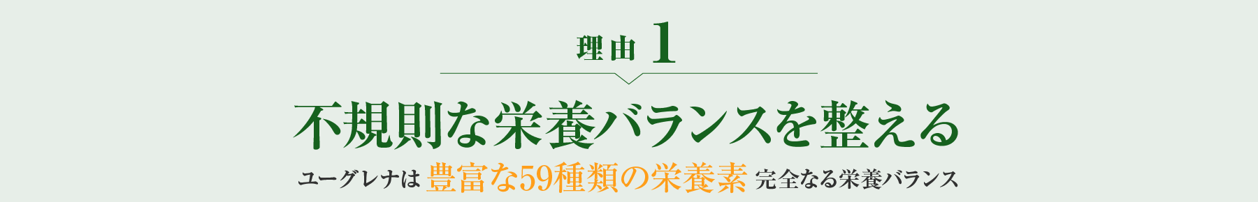 理由1 不規則な栄養バランスを整える