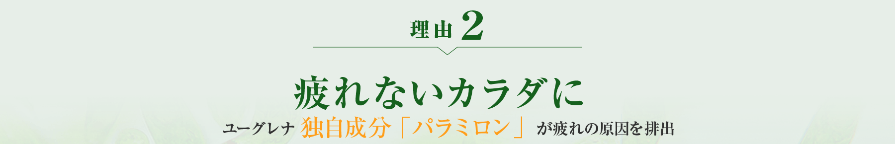 理由2 疲れないカラダに