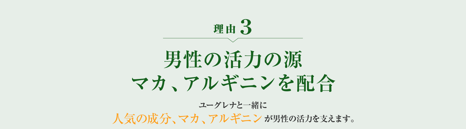 理由3 男性の活力の源マカ、アルギニンを配合