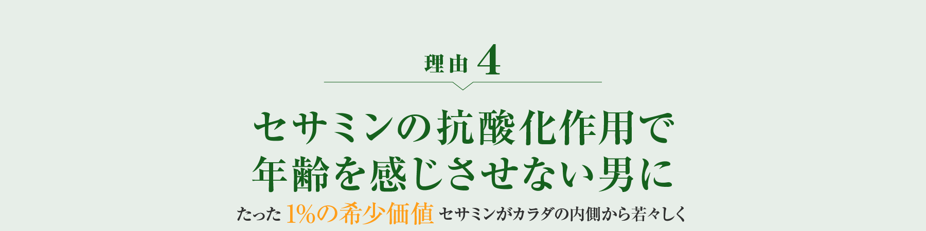 理由4 セサミンの抗酸化作用で年齢を感じさせない男に