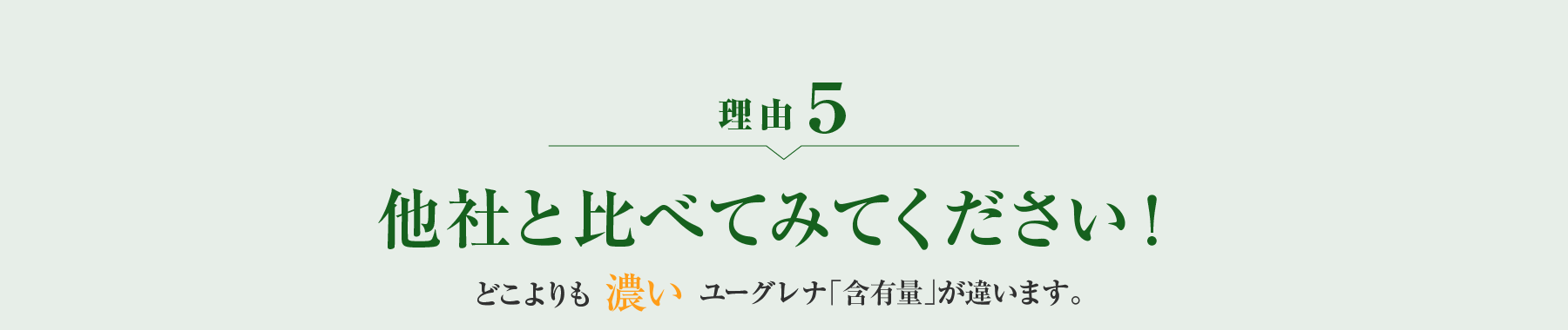 理由5 他社と比べてみてください！