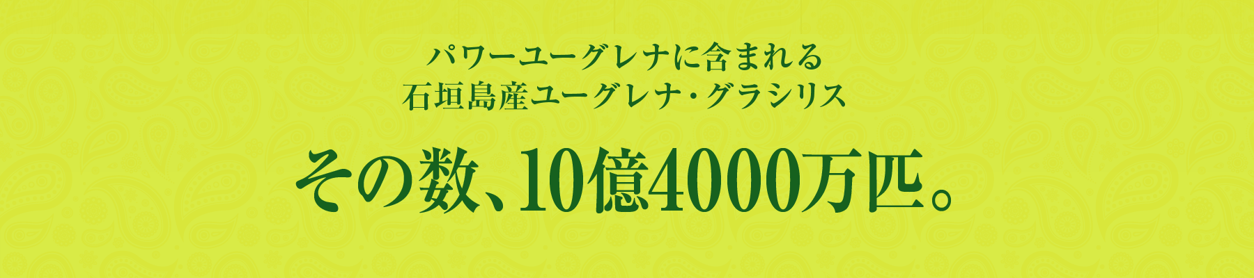 パワーユーグレナに含まれる石垣島産ユーグレナ・グラシリス その数、10億4000万匹。