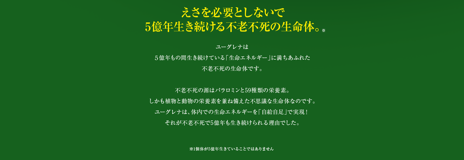 えさを必要としないで5億年生き続ける不老不死の生命体。