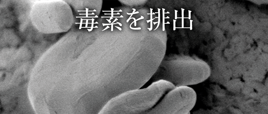 毒素を排出