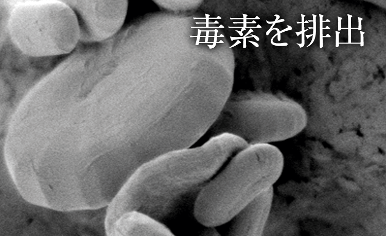 毒素を排出